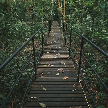 Khao Sok Tree House Resort Khao Sok National Park Экстерьер фото
