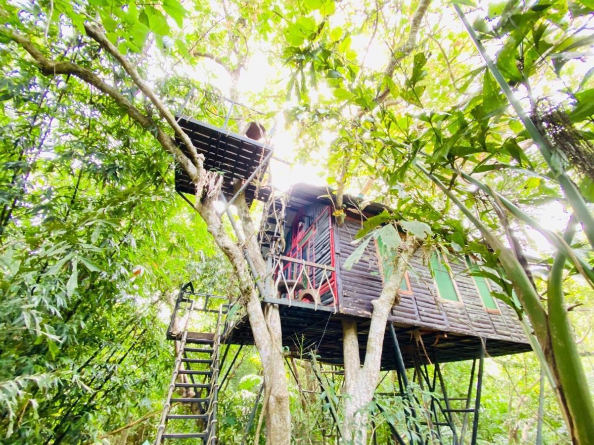Khao Sok Tree House Resort Khao Sok National Park Экстерьер фото