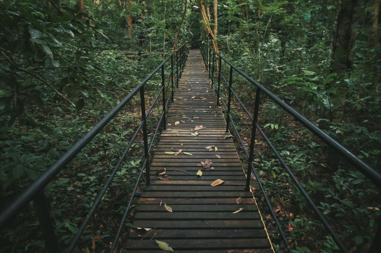 Khao Sok Tree House Resort Khao Sok National Park Экстерьер фото