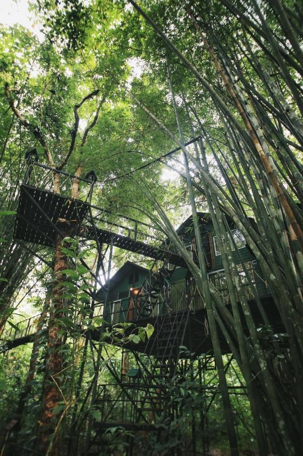 Khao Sok Tree House Resort Khao Sok National Park Экстерьер фото
