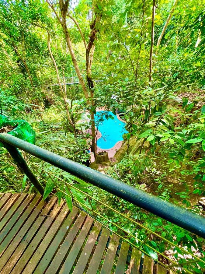Khao Sok Tree House Resort Khao Sok National Park Экстерьер фото