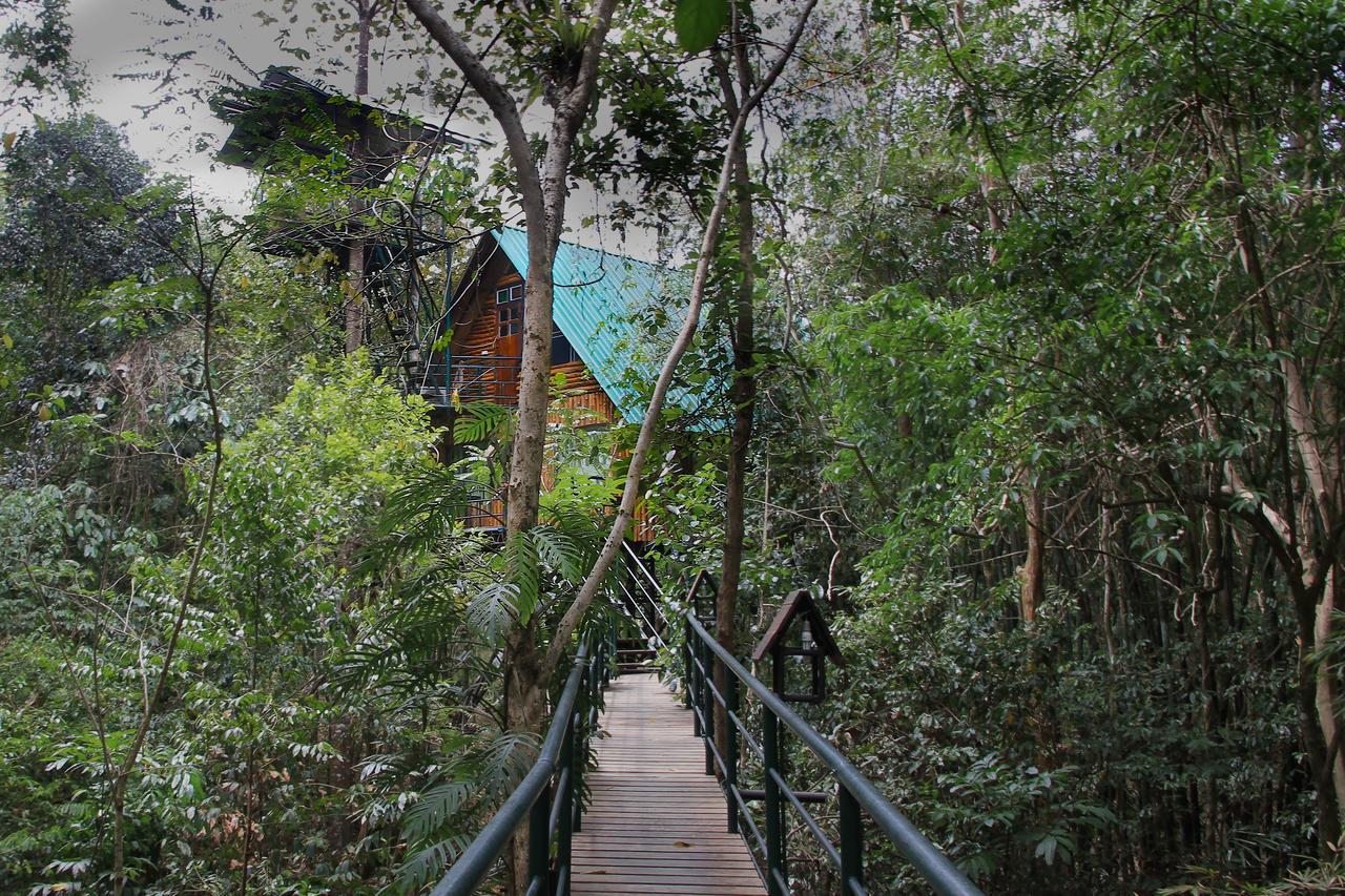Khao Sok Tree House Resort Khao Sok National Park Экстерьер фото