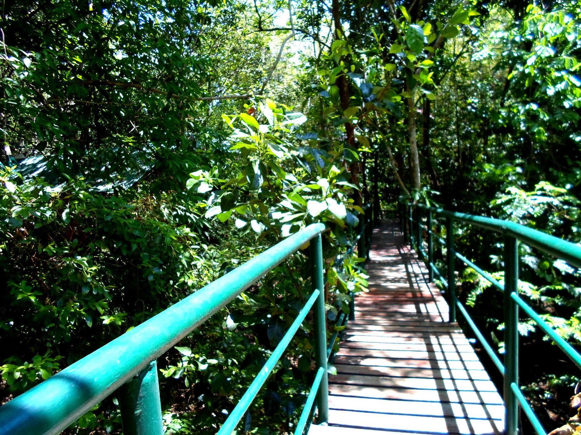 Khao Sok Tree House Resort Khao Sok National Park Экстерьер фото