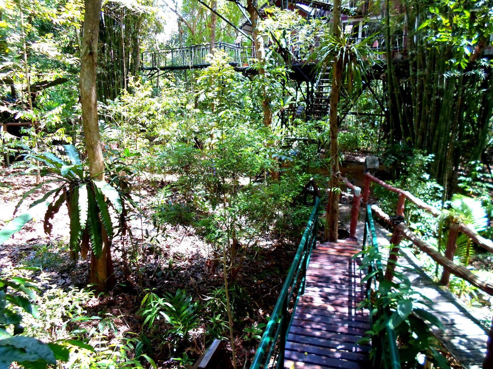 Khao Sok Tree House Resort Khao Sok National Park Экстерьер фото