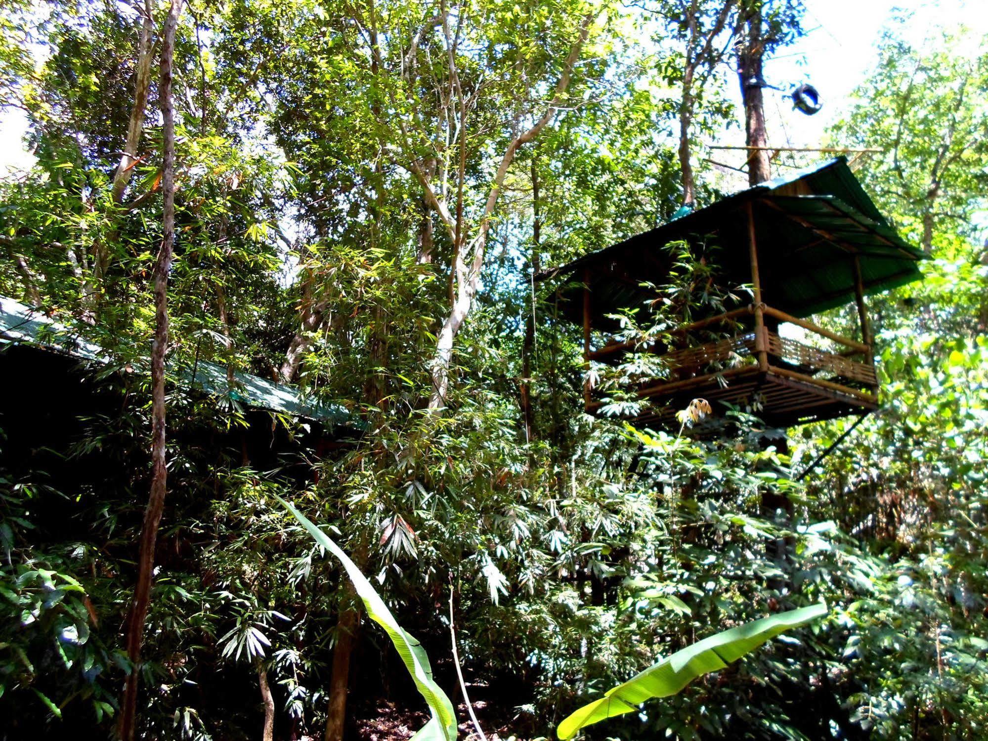 Khao Sok Tree House Resort Khao Sok National Park Экстерьер фото