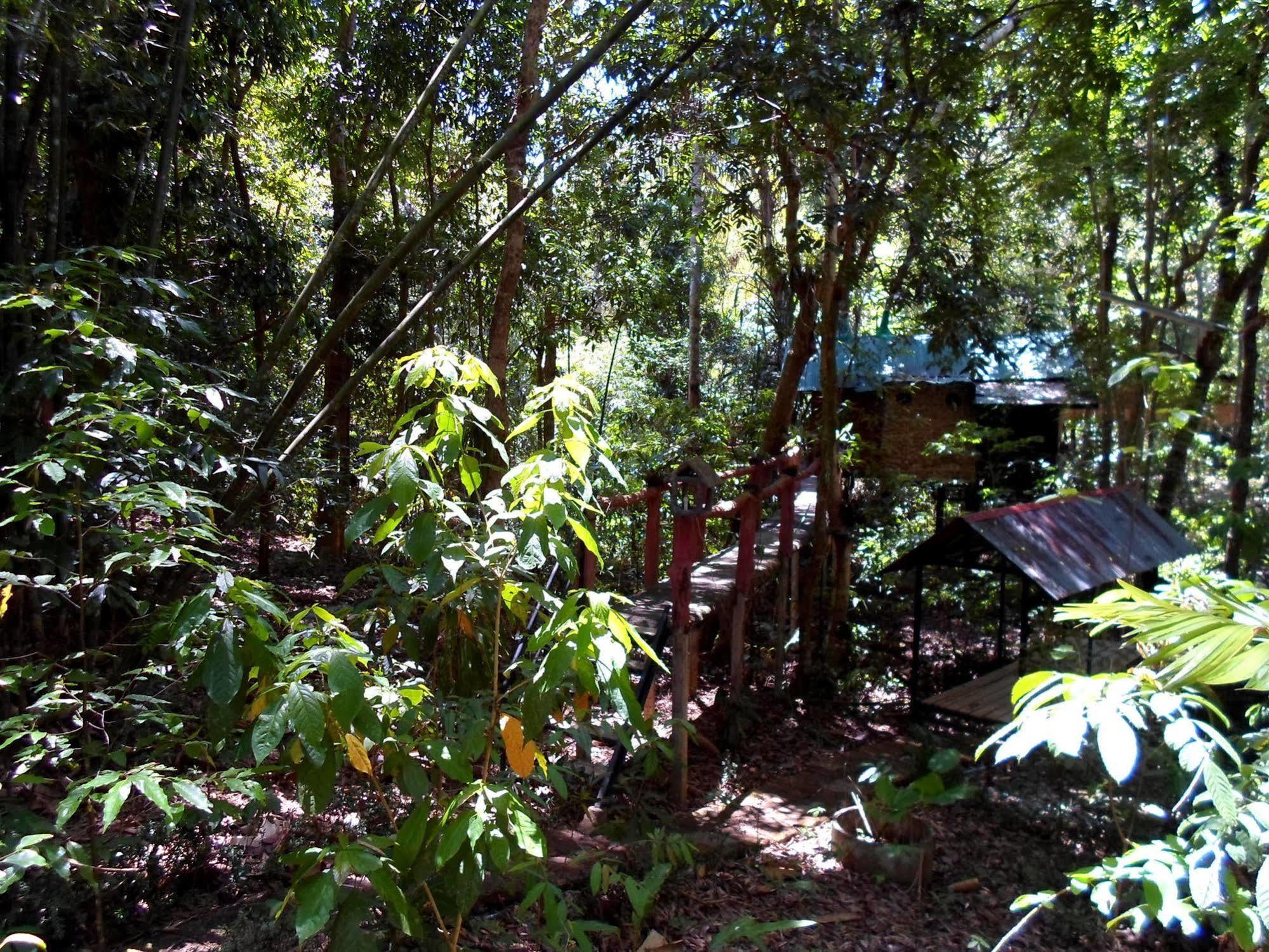 Khao Sok Tree House Resort Khao Sok National Park Экстерьер фото
