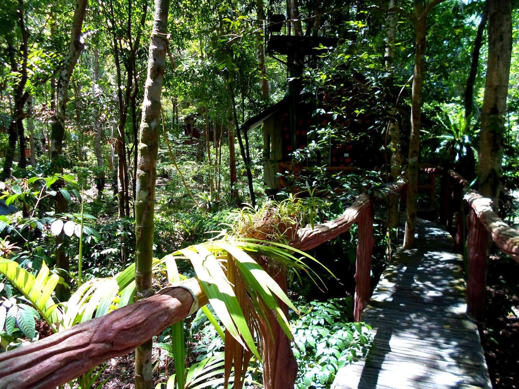 Khao Sok Tree House Resort Khao Sok National Park Экстерьер фото
