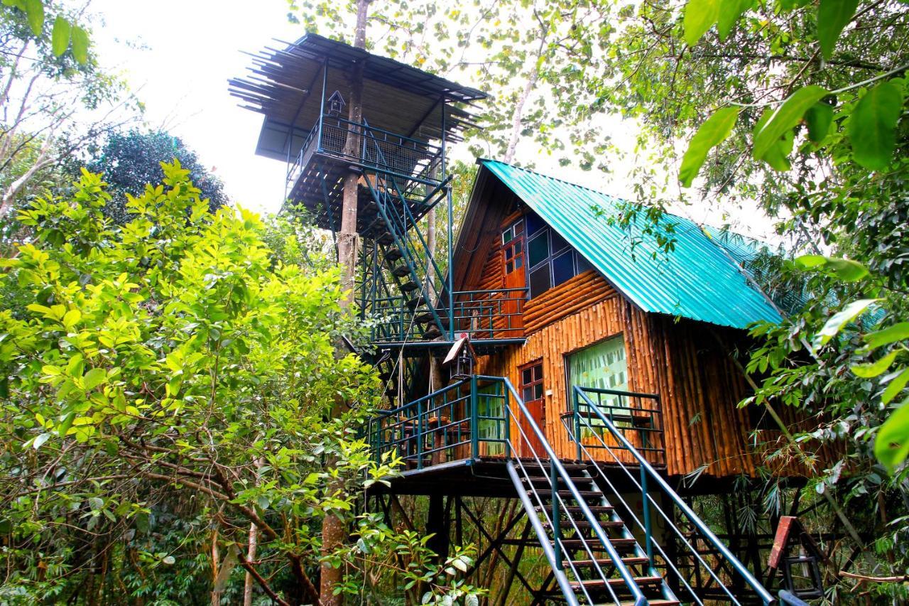 Khao Sok Tree House Resort Khao Sok National Park Экстерьер фото