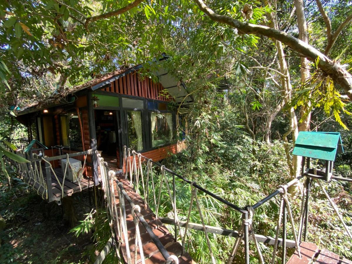 Khao Sok Tree House Resort Khao Sok National Park Экстерьер фото