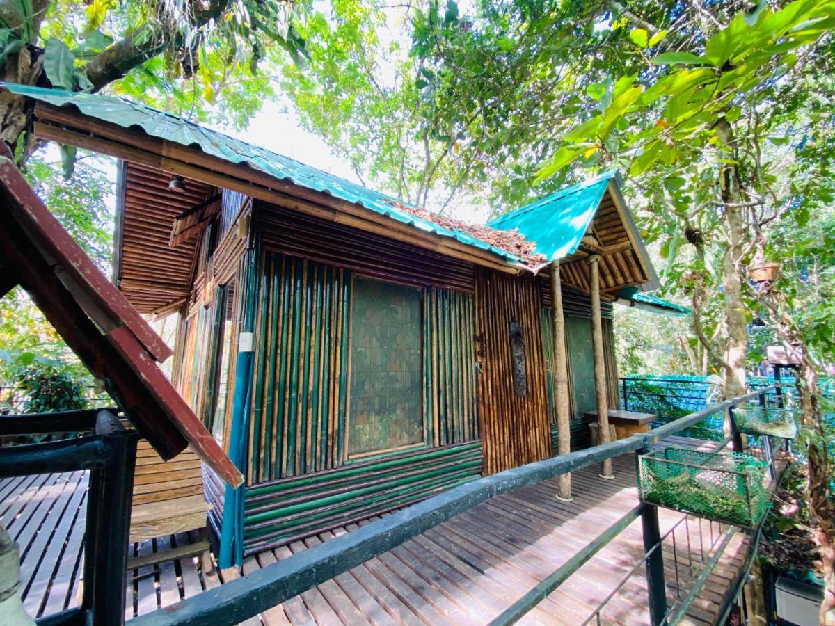 Khao Sok Tree House Resort Khao Sok National Park Экстерьер фото